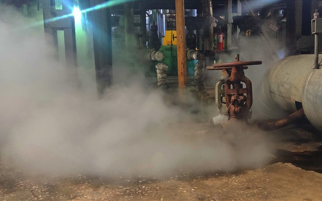 Understanding Steam Hazards in Industrial Environments