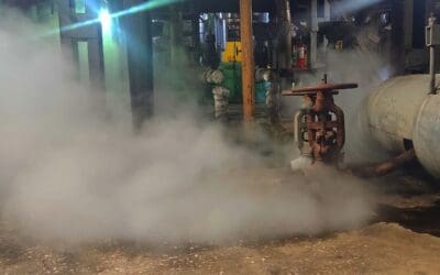 Understanding Steam Hazards in Industrial Environments